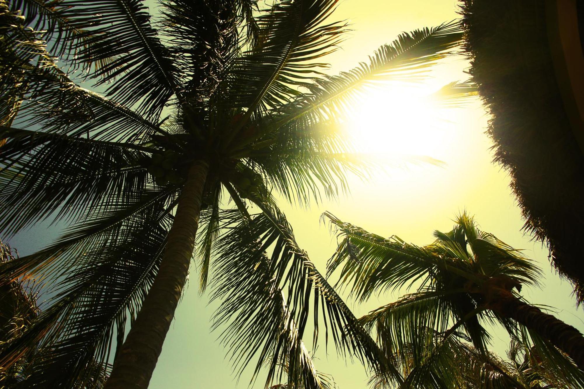 One Love Hostal Puerto Escondido Puerto Escondido  Εξωτερικό φωτογραφία